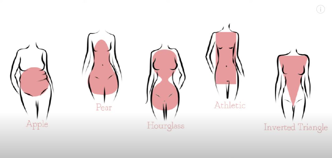 different body types of a woman